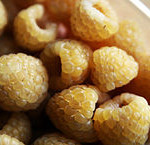 Golden yellow raspberry