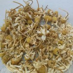 Year-old dried chamomile