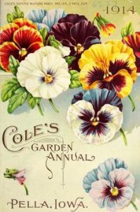 Old Pansy Seed packet