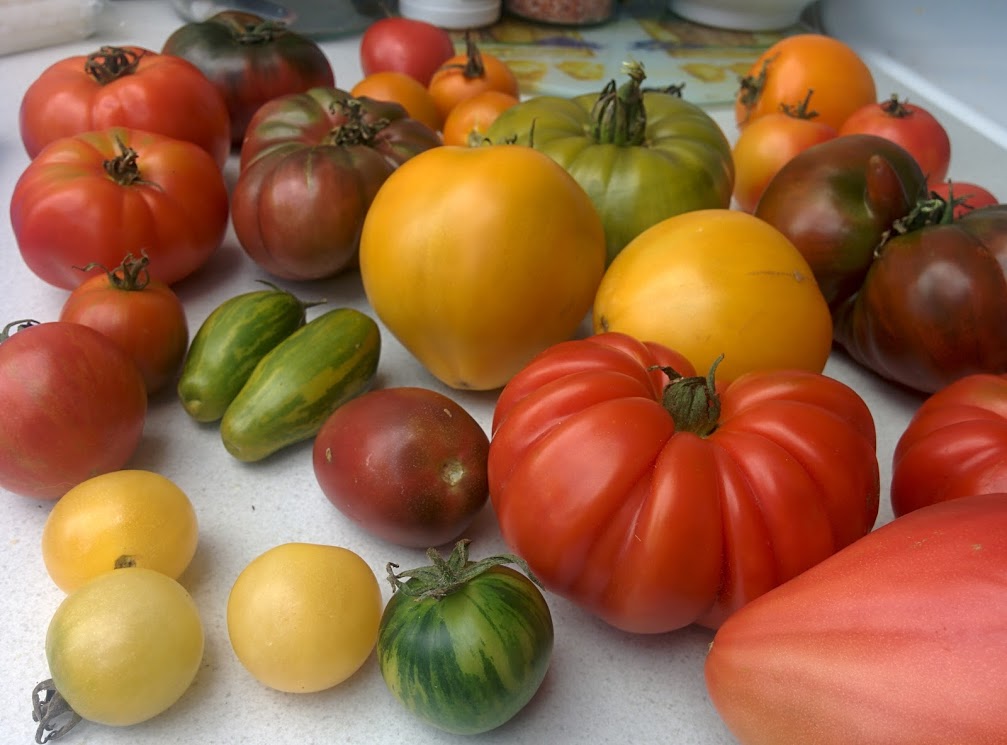 Heirloom Selection