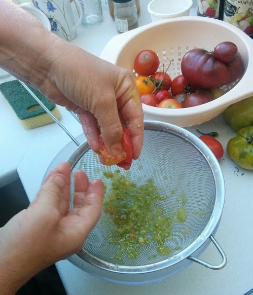 Saving Tomato Seeds