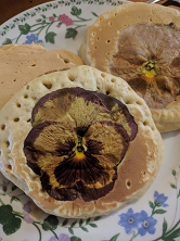 Pansy Pikelets