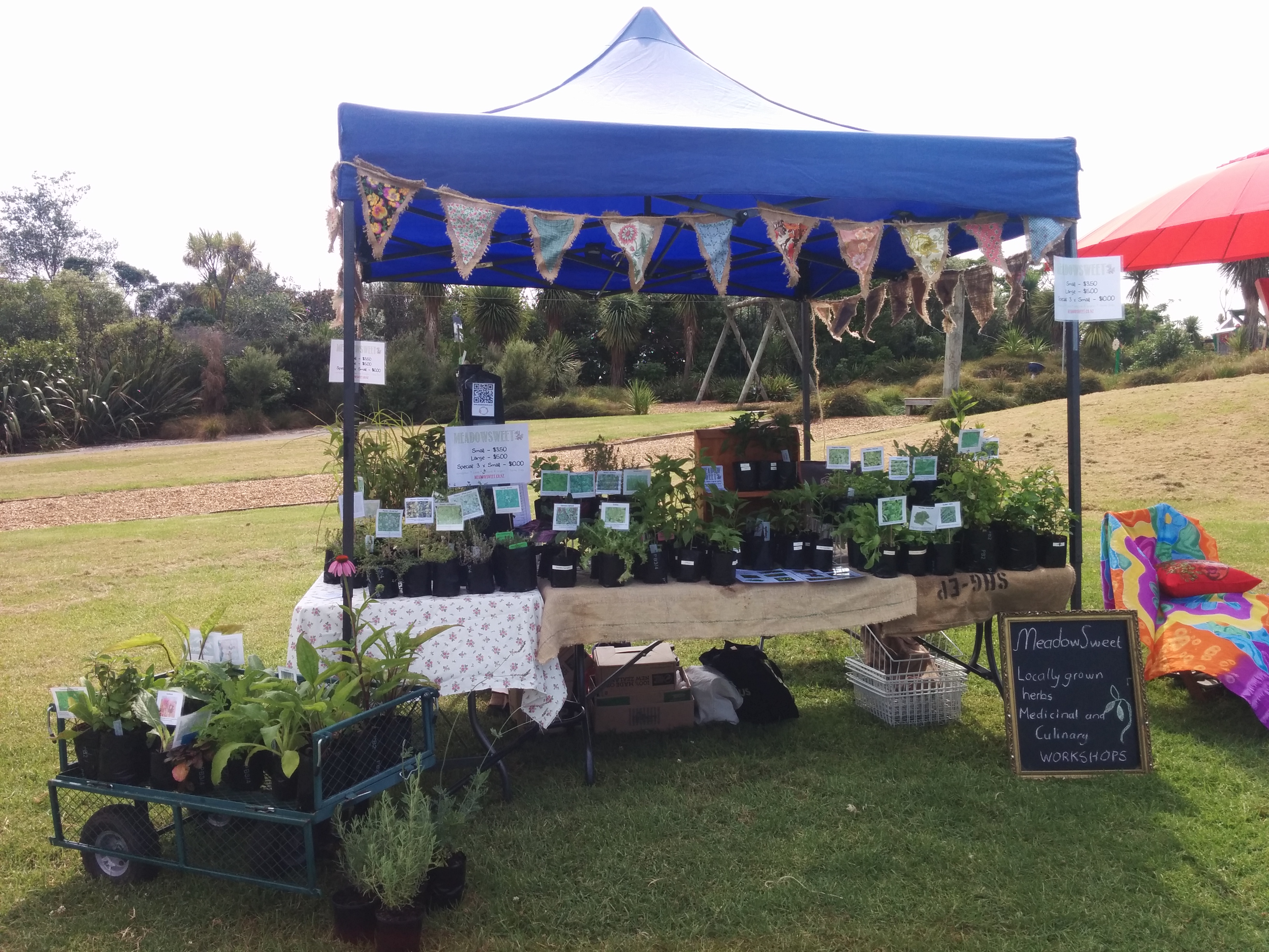 Friends of Okura Bush Forest Festival Market