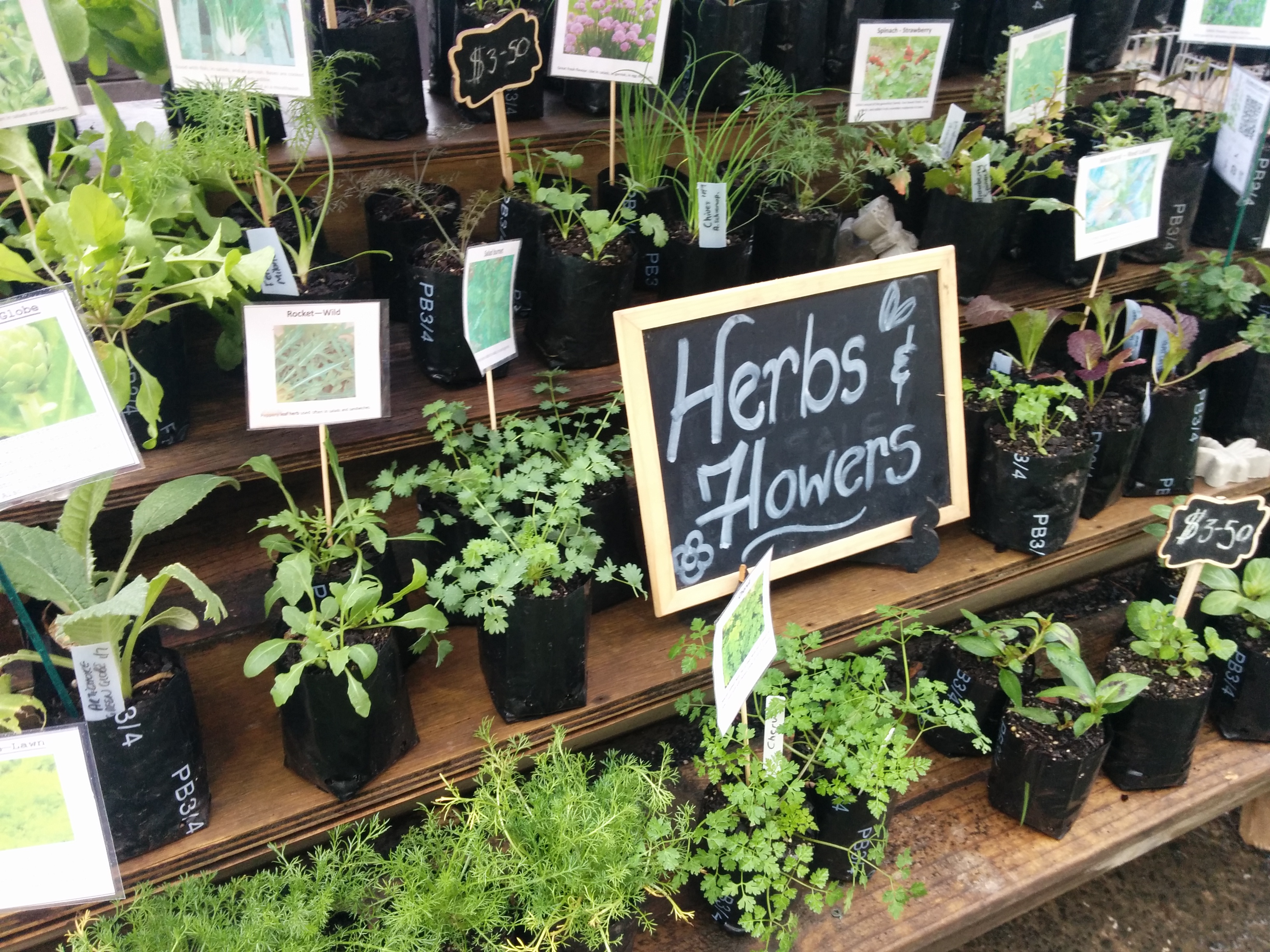 Homegrown and Spray-Free
