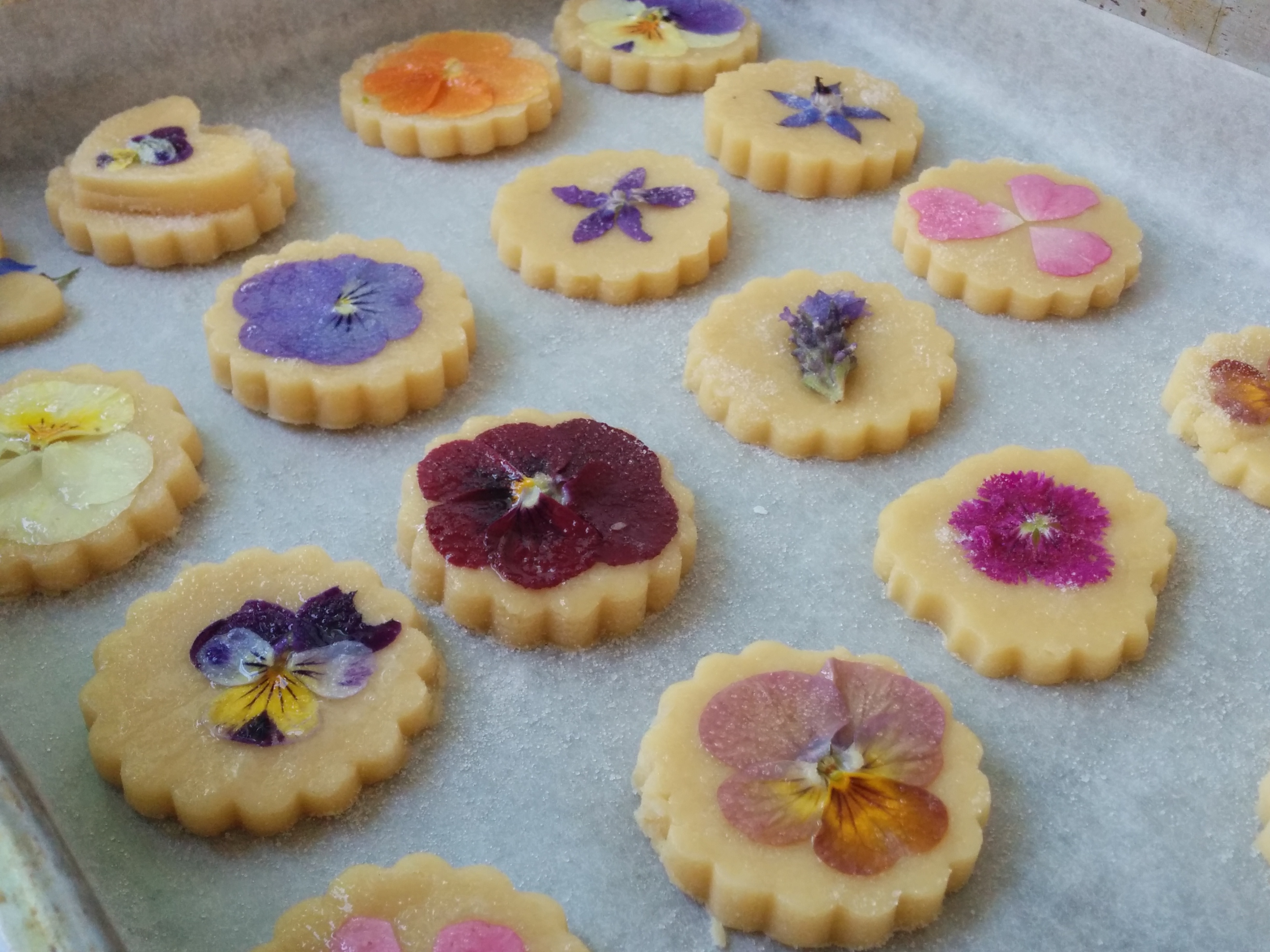 Edible Flower Cookies