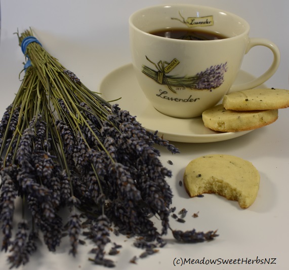 Edible Flowers #7: Lavender – MeadowSweet Herbs & Flowers